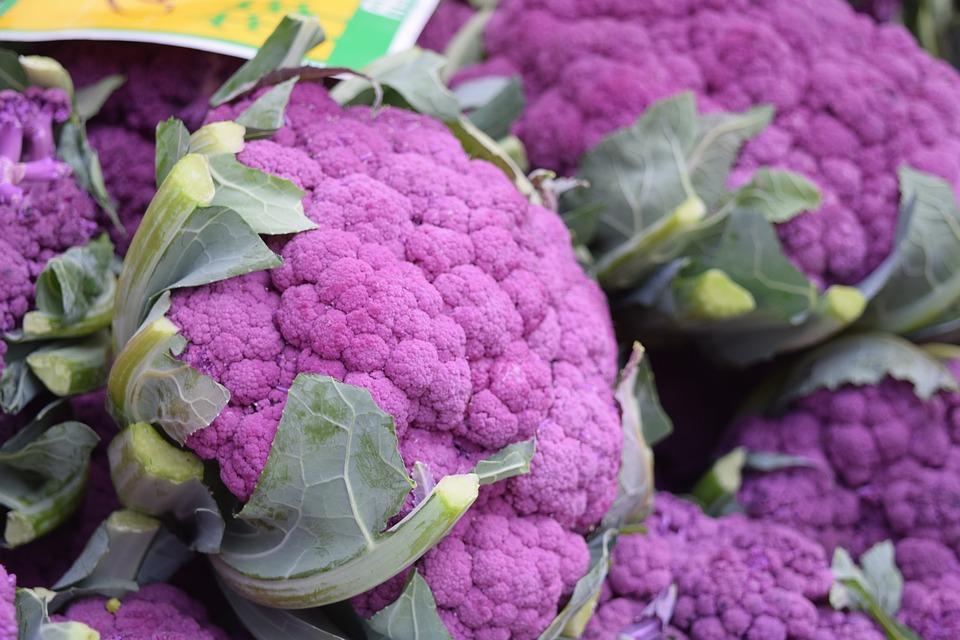 How to Grow & Harvest : Cauliflower | Healthy Garden Co