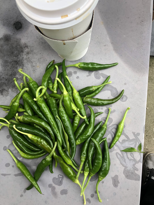 How to Grow and Harvest: Peppers (Hot & Sweet) | Healthy Garden Co