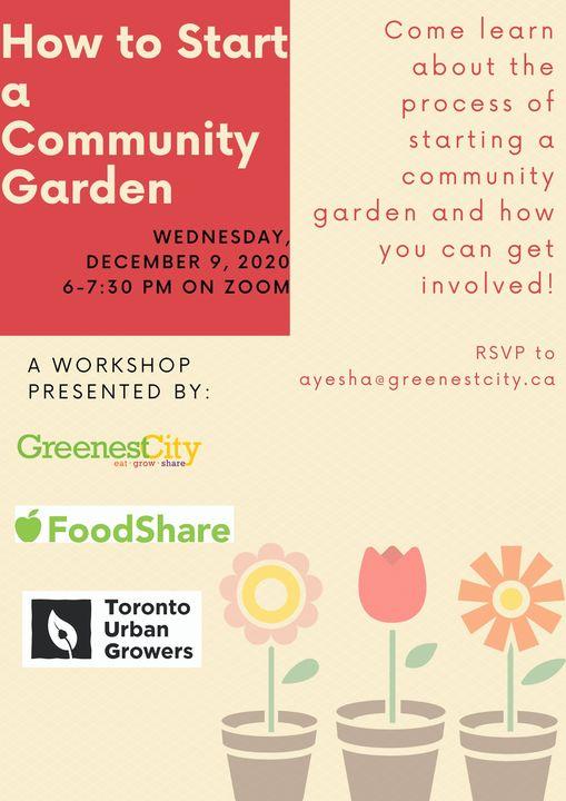 How to start an urban community vegetable garden | Healthy Garden Co