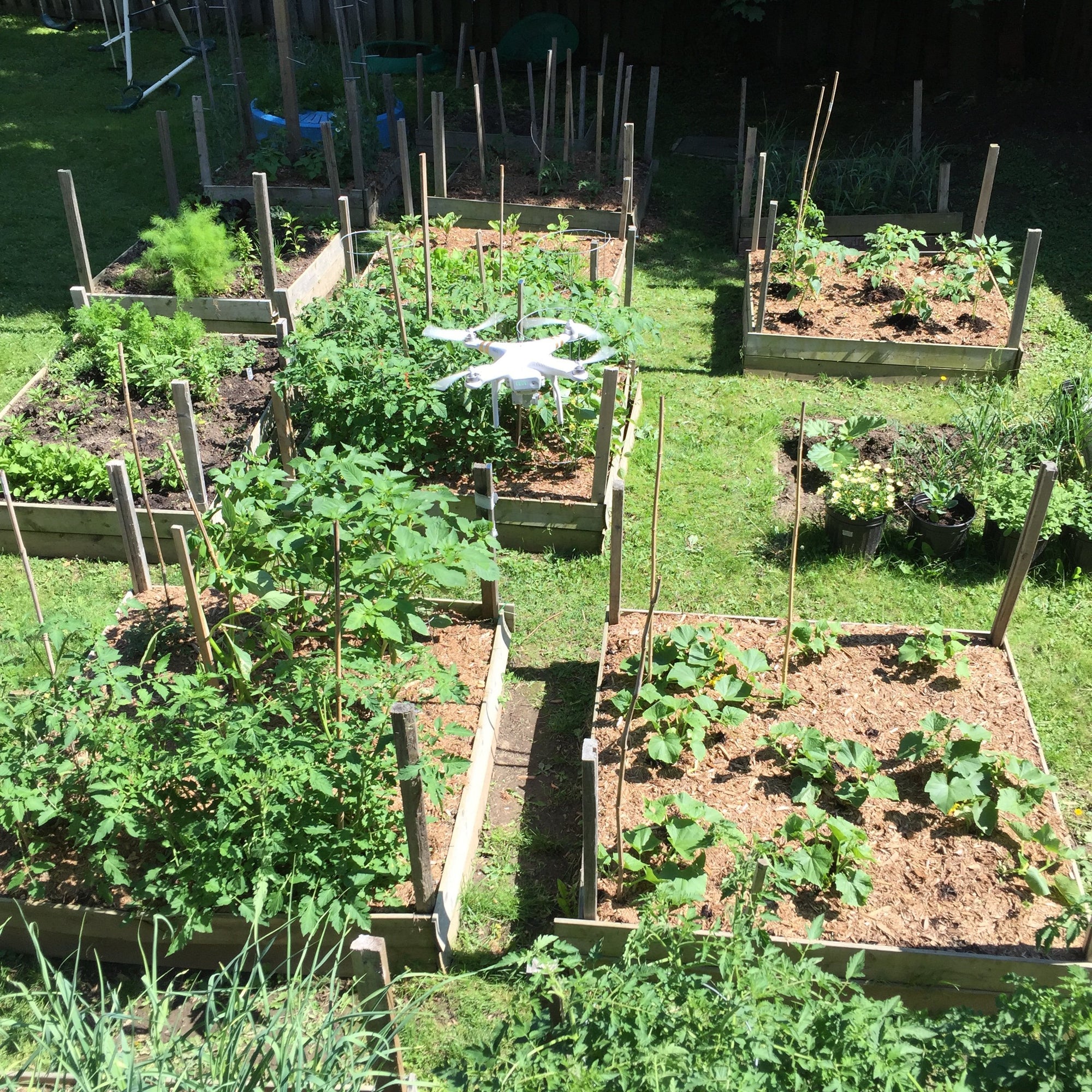 Is it time to rethink Gardening in your city? | Healthy Garden Co
