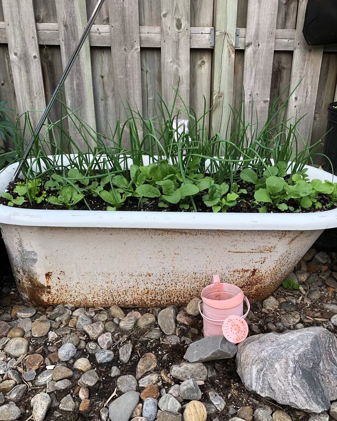 The First "W" of Gardening : Watering | Healthy Garden Co