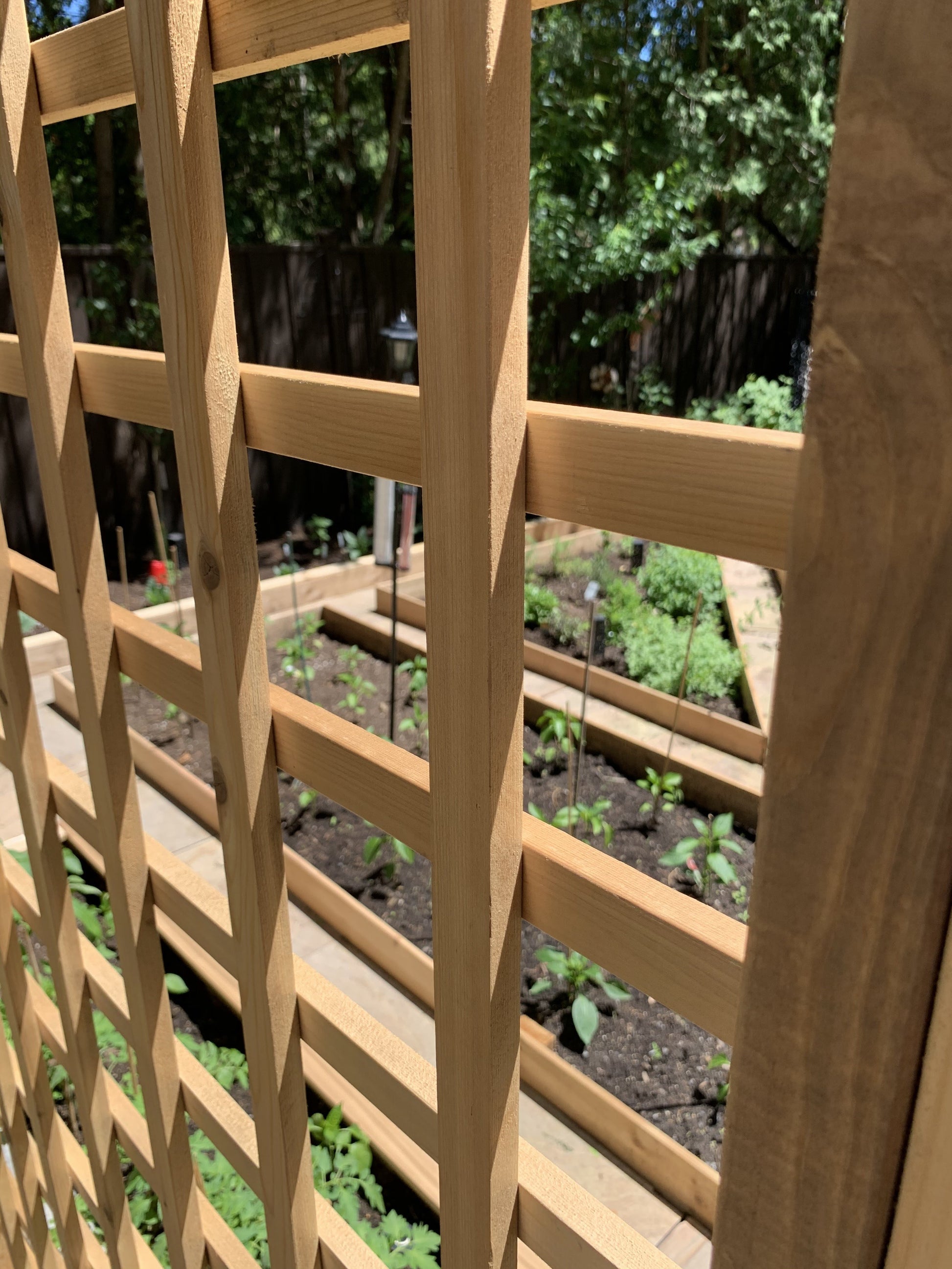 2x2 wood trellis Custom Built Trellis – Healthy Garden Co
