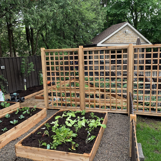 Custom Built Trellis - Healthy Garden Co