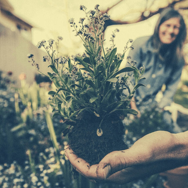 In-Ground Install - Healthy Garden Co