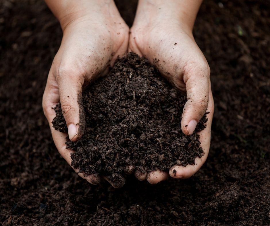 Organic Garden Mix - 1 Cubic Yard - Healthy Garden Co