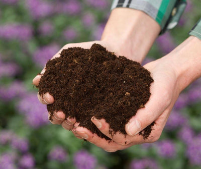 Organic Potting Soil - 20L Bag - Healthy Garden Co