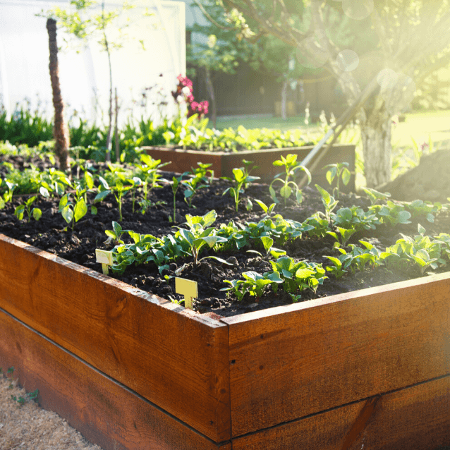 Raised Garden Bed Installation - Healthy Garden Co