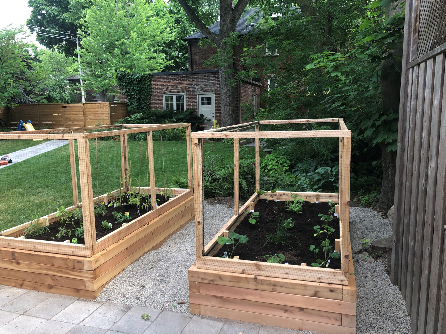 Raised Garden Bed Installation - Healthy Garden Co