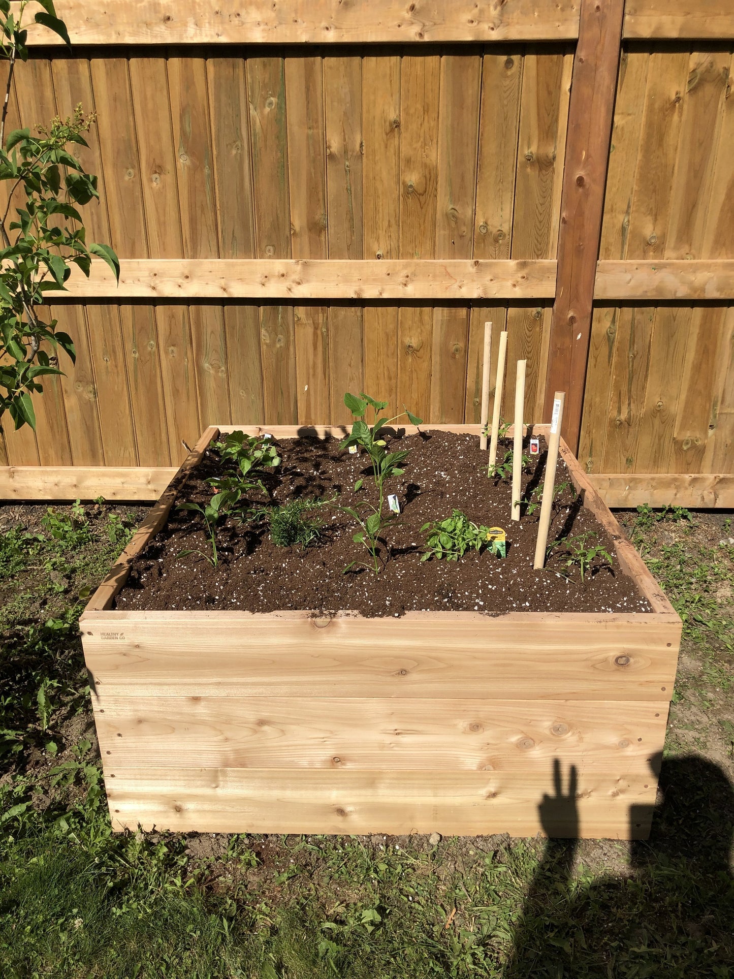 Raised Garden Bed Installation - Healthy Garden Co